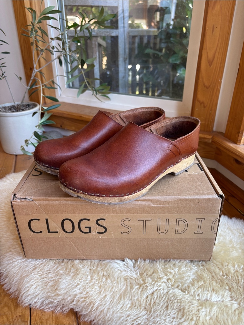 Kitty Clogs Studio Jord Clogs in Cumin